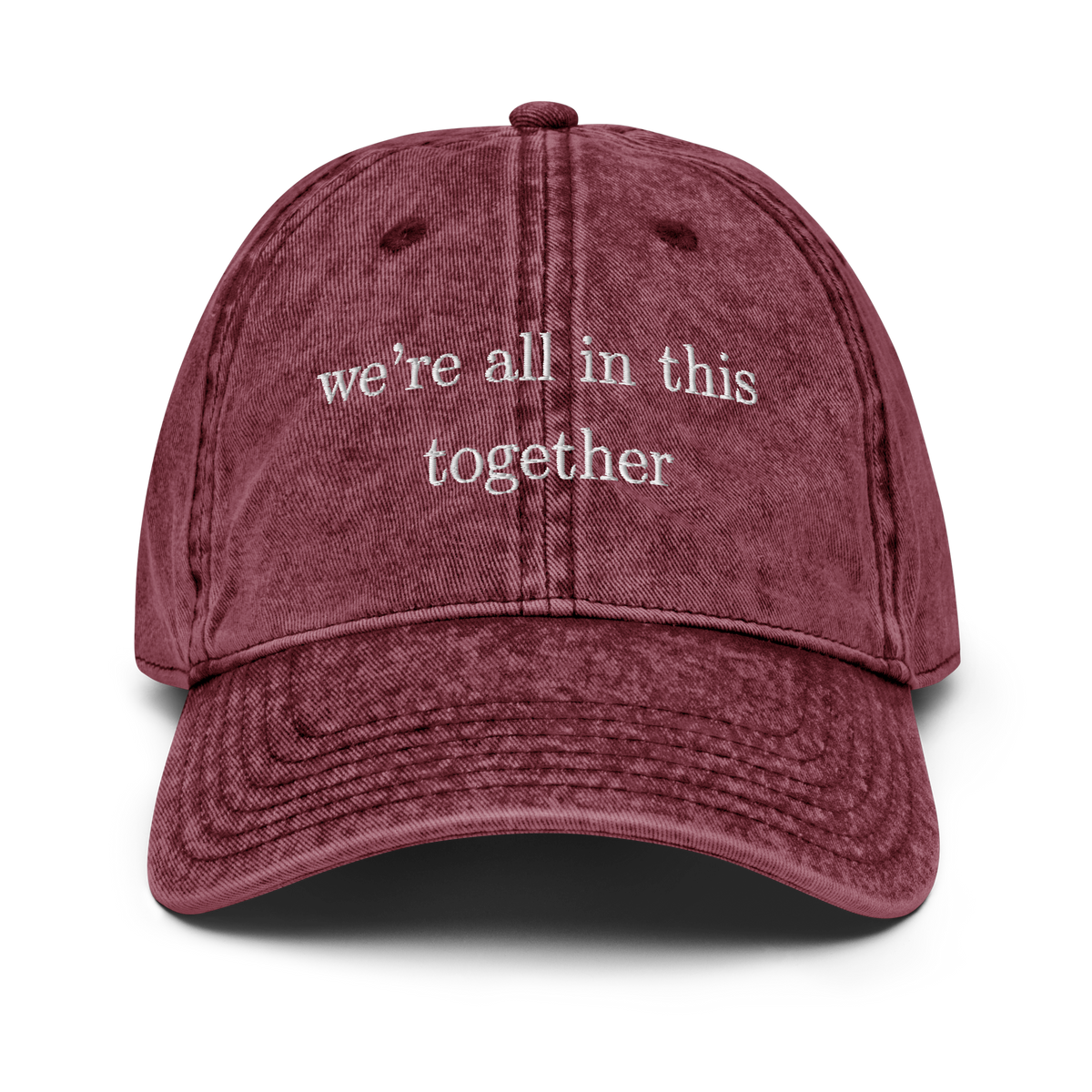 We're all in this together vintage style cap